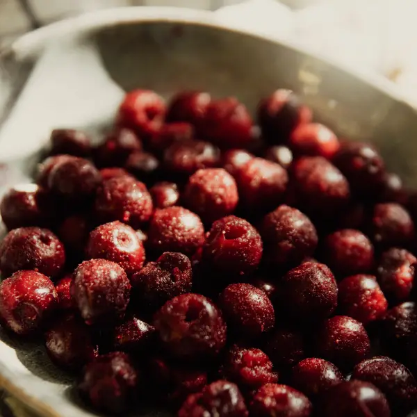 Image Cranberryöl  CPV BIO