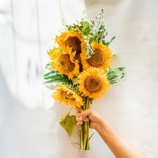 Image Sonnenblumenöl HO R BIO