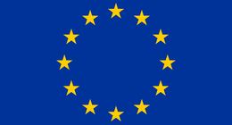 Image footer